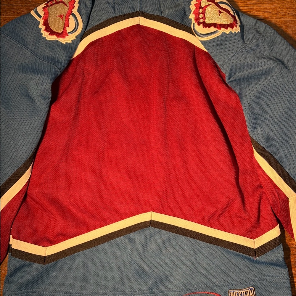 NHL Pro Player Jersey in Burgundy and Blue - Picture 5 of 5